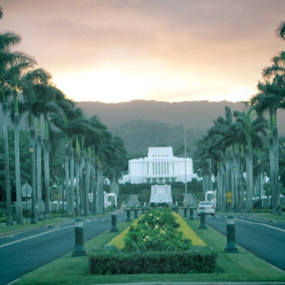 Meet your Posher, Niusina - Picture 1 of 1